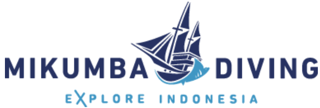 LOGO MIKUMBA